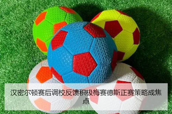 汉密尔顿赛后调校反馈积极梅赛德斯正赛策略成焦点